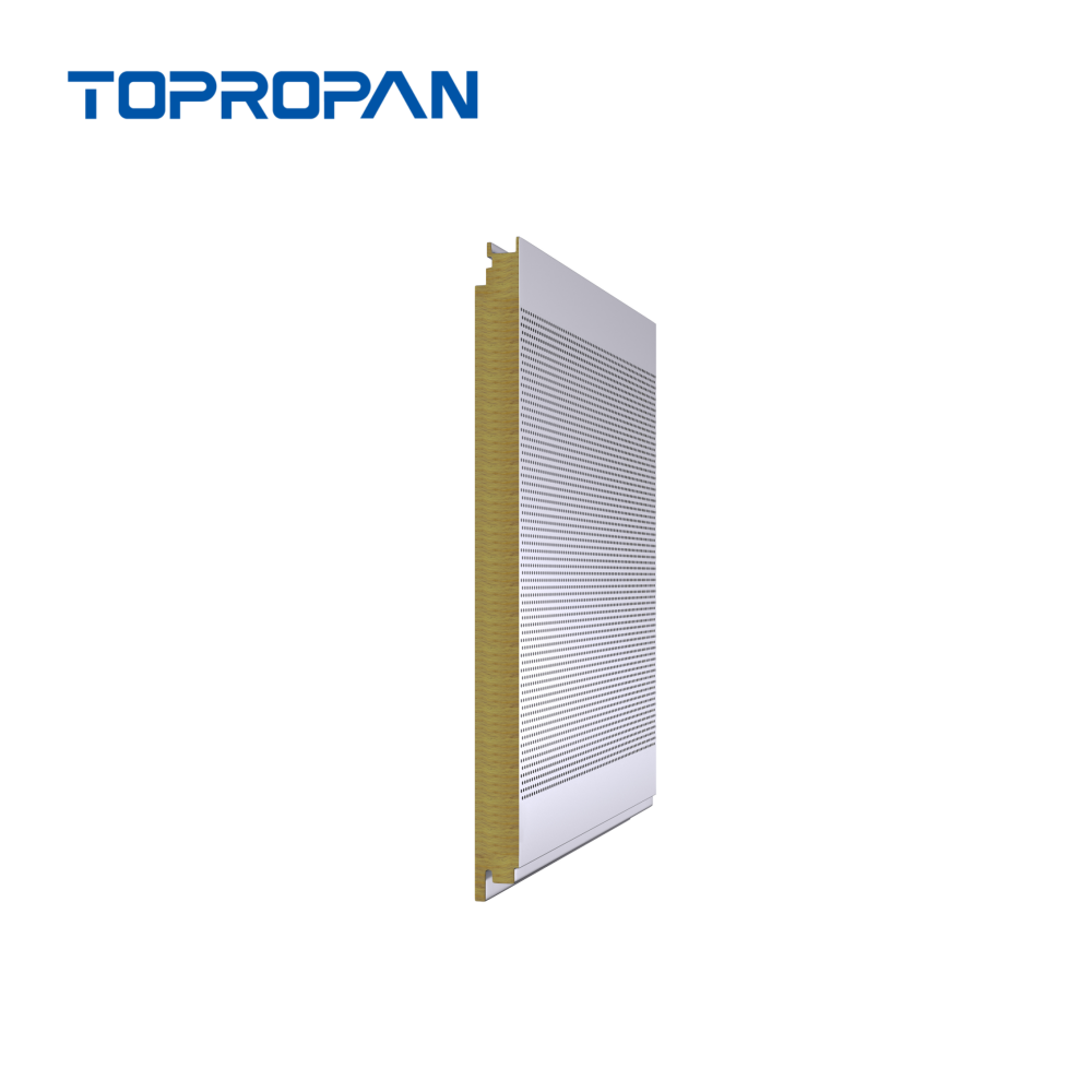 Acoustic Sandwich Panel1